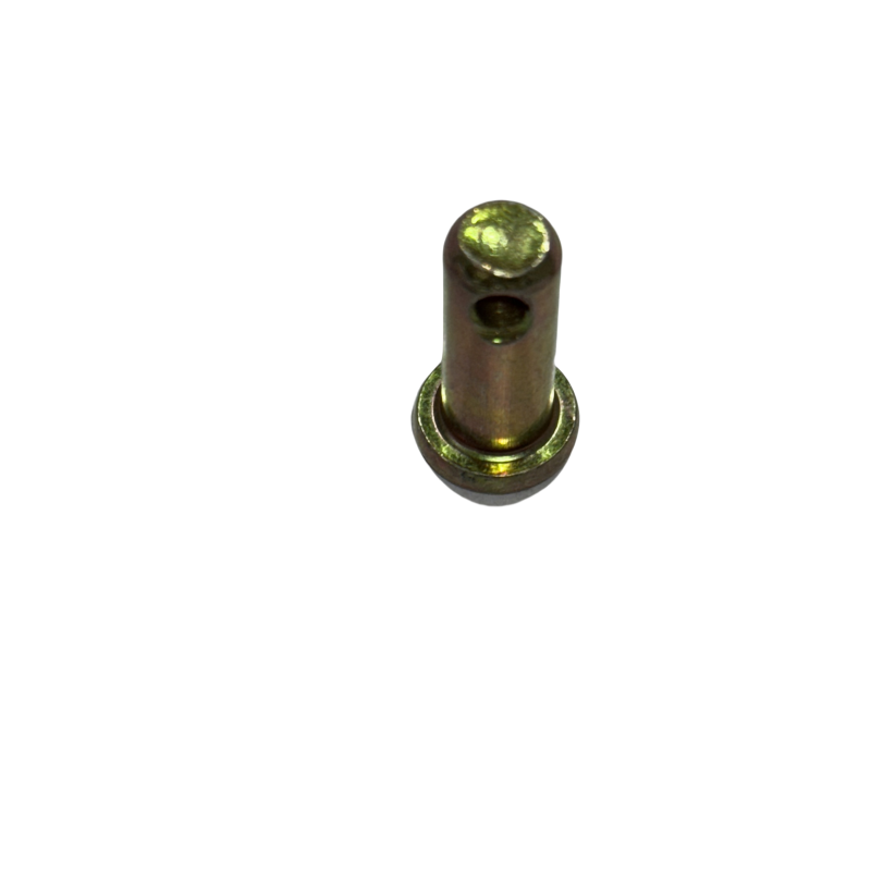 Pin
