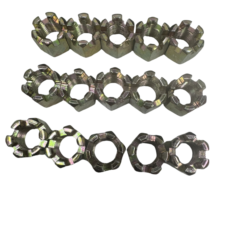 Hexagon Slotted Nuts