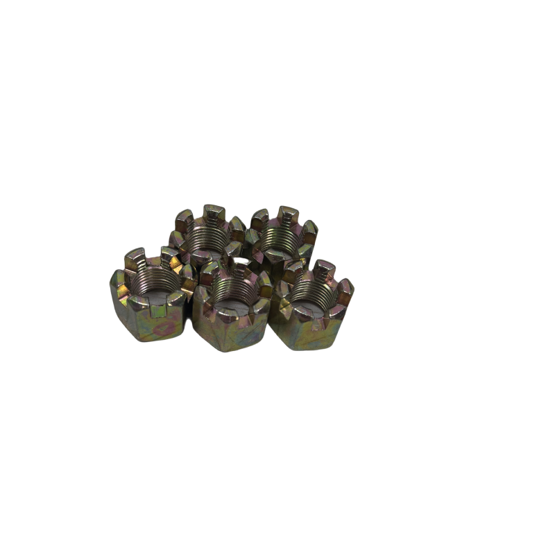 Hexagon Slotted Nuts