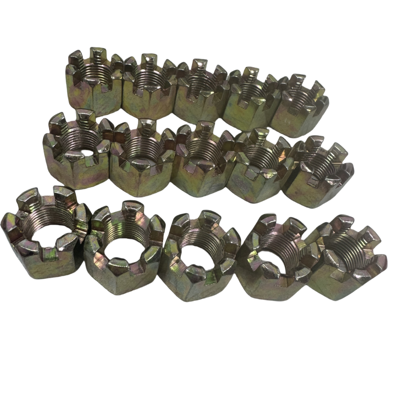 Hexagon Slotted Nuts