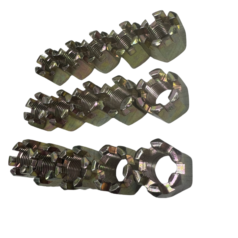 Hexagon Slotted Nuts