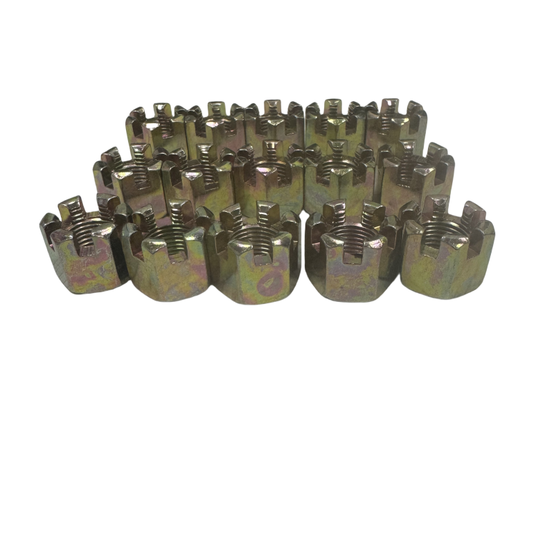 Hexagon Slotted Nuts