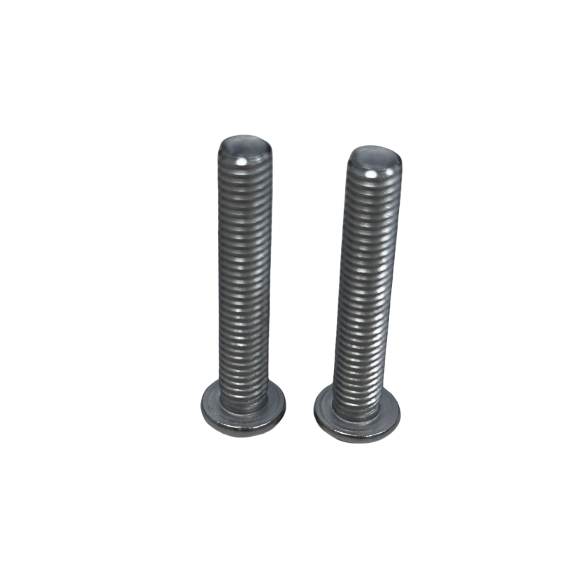 Hexagon Socket Head Screw M1025