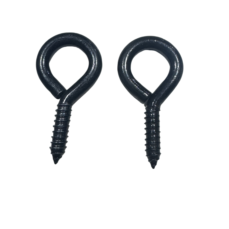 Eyebolt