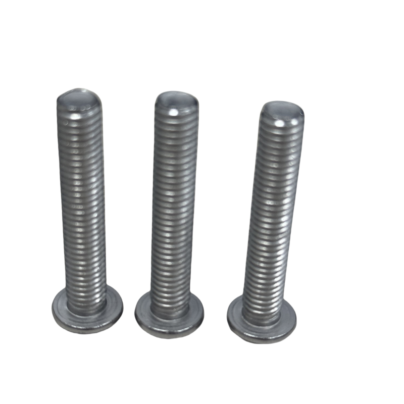 Hexagon Socket Head Screw M1025