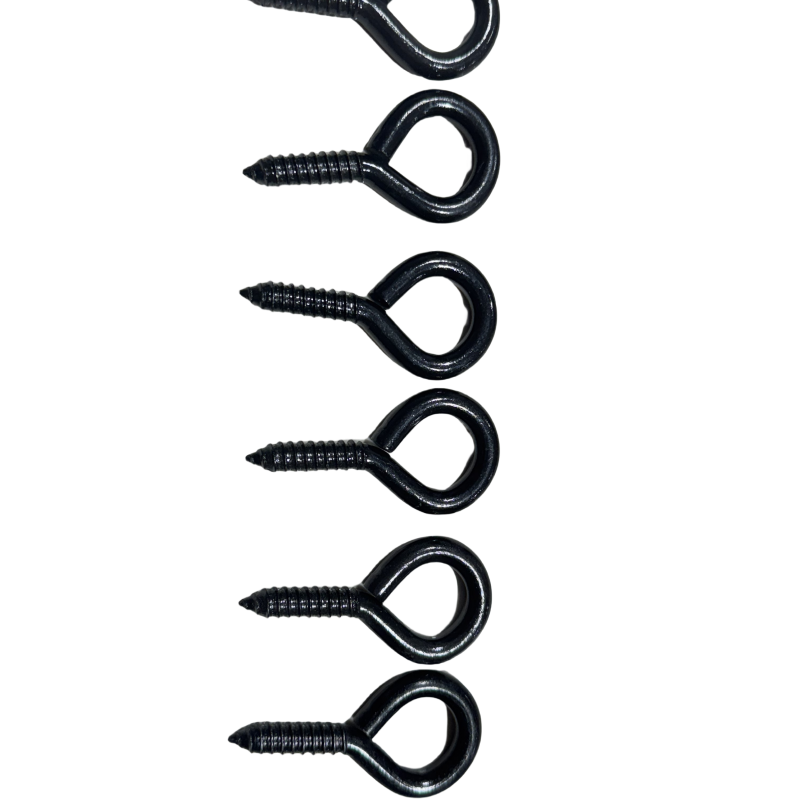 Eyebolt